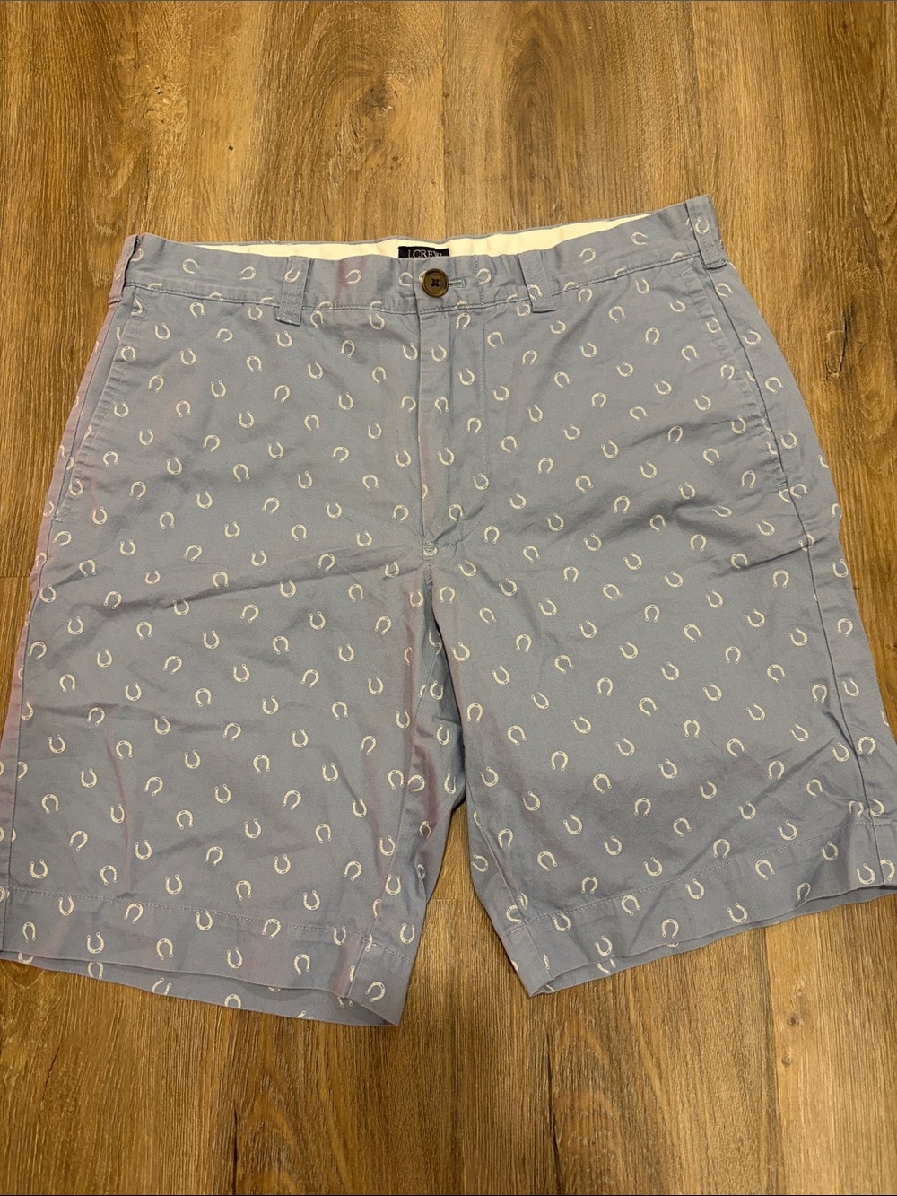 Men's Light Blue Printed Chino Shorts